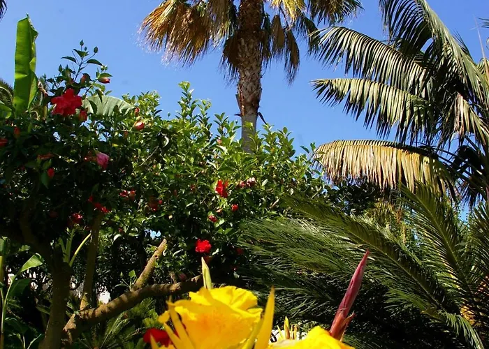 Costa Azzurra Capo Vaticano